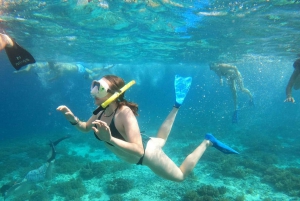 Gili Trawangan : Private Snorkeling Sunrise and Sunset Tour