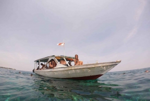 Gili Trawangan: Private Snorkeling Tour 2 Hours 3 Spot+GOPRO