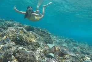 Gili Trawangan: Private Snorkeling Trip with GoPro Photos