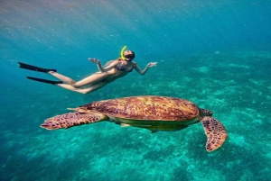 Gili Trawangan: Private Snorkeling with Turtles & Statue