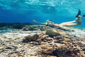 Gili Trawangan: Private Snorkeling with Turtles & Statue