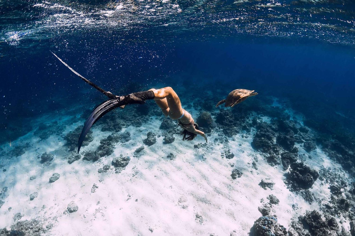 Gili Trawangan: Snorkel Compartido 3 Puntos