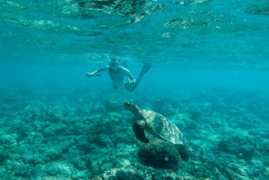 Gili Trawangan: Snorkeling Shared 3 Spots