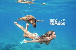 Gili Trawangan Snorkeling Private Tour With Turtle 6,5 Hours
