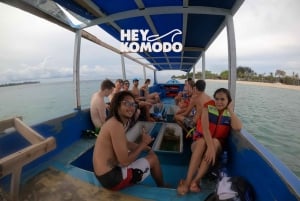 Gili Trawangan Snorkeling Private Tour With Turtle 6,5 Hours