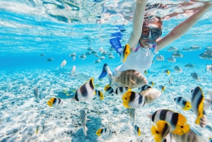 Gili Trawangan: Snorkeling Shared 3 Spots