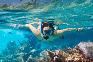 Gili Trawangan: Snorkeling Shared 3 Spots
