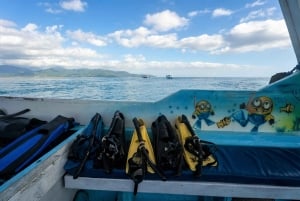 Gili Trawangan: Snorkeling Statues & Turtle Sanctuary Tour