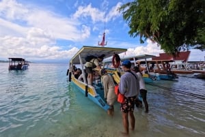 Gili Trawangan: Snorkeling Statues & Turtle Sanctuary Tour