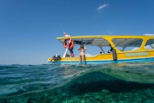 Gili Trawangan: Snorkeling Statues & Turtle Sanctuary Tour
