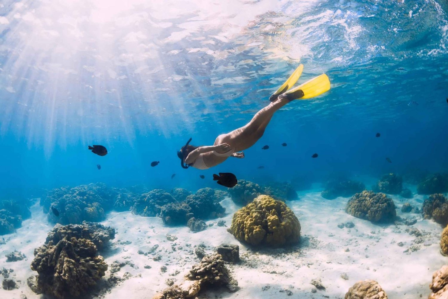 Gili Trawangan: Snorkeling with Turtles & Underwater Statue