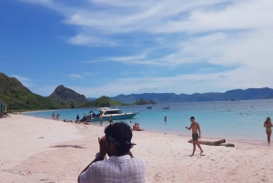 Gili Trawangan Speedboat Transfer from Bangsal Harbor