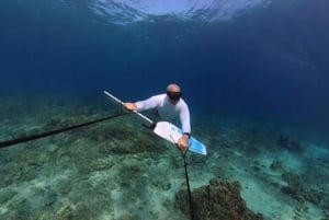 GILI TRAWANGAN : SUBWING GILI ØY