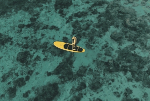 Gili Trawangan: Stand-up paddle med dronefoto og guide