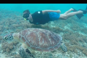 Gili Trawangan: Snorkling og solnedgangstur i gruppe + GOPRO-fotografering