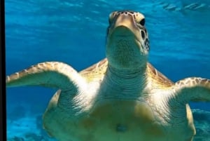 Gili Trawangan: Snorkling og solnedgangstur i gruppe + GOPRO-fotografering