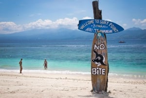 Gili Trawangan: Surf Course for Beginners & Advanced‍