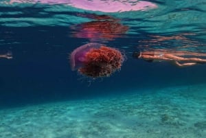 Gili Trawangan : Plongée avec masque et tuba, nage avec tortue et statue