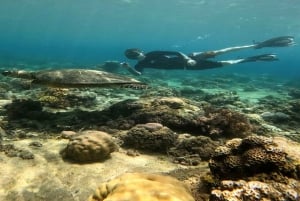 Gili Trawangan : Snorkeling Swimming with Turtle & Statue