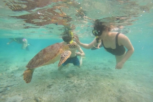 gilitrawangan:tour privado 3 puntos: estatua,arrecife de coral,tortuga