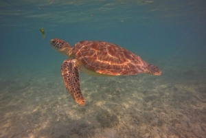 Go Pro Snorkling Trip 3 Öar.