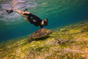 Viagem de mergulho com snorkel Go Pro em 3 ilhas.