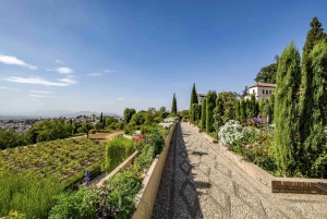 Granada: Alhambra, Gardens and Alcazaba Guided Tour