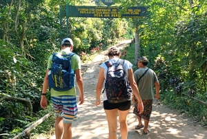 Grønne trætoppe og krystalvandfald – naturvandring ved Benang Stokel