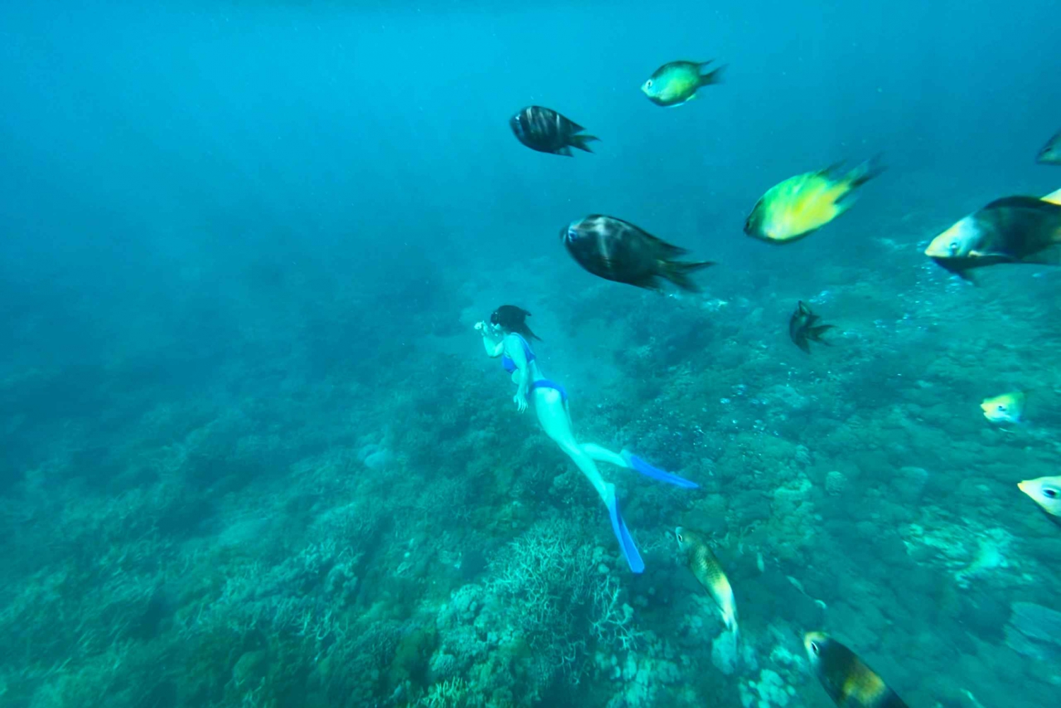 Hidden Gili's Lombok Snorkeling Daily Tour
