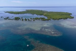 Piilotettu Gilin Lombokin snorklaus Päivittäinen retki
