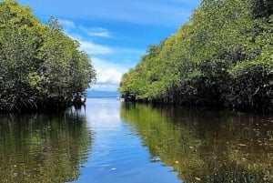 Destaques da excursão às Ilhas Nusa Lembongan - Tudo incluído