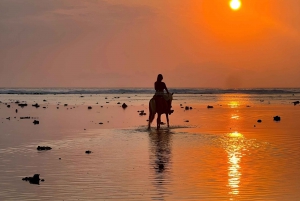 Reiten am Strand auf den Gili-Inseln