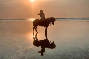 Randonnée à cheval sur la plage dans les îles Gili