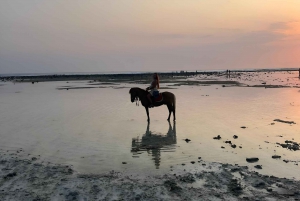 Ridning på stranden på Gili-øerne