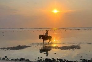 Paardrijden op het strand in Gili Eilanden