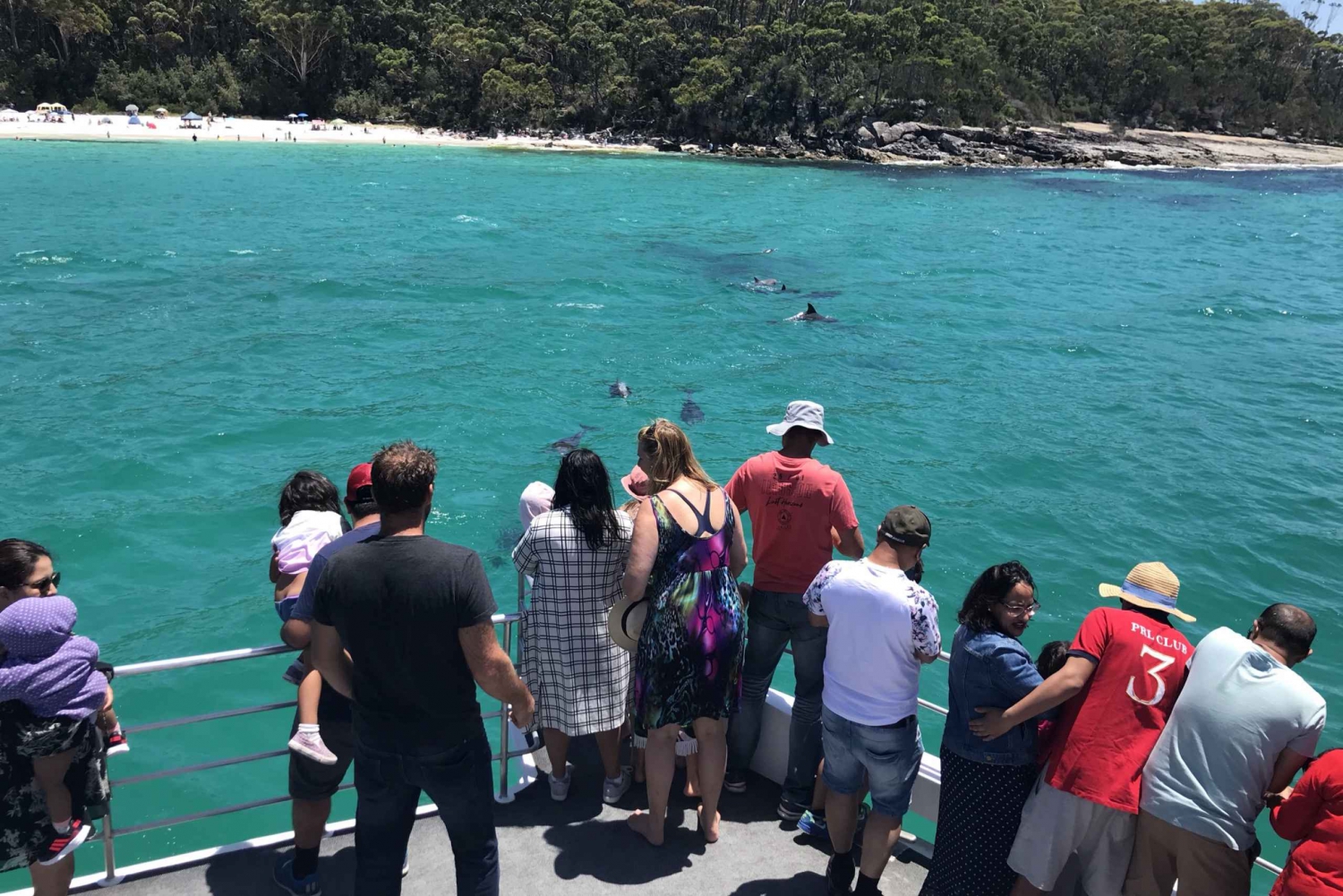 Jervis Bay: 1.5-Hour Dolphin Cruise
