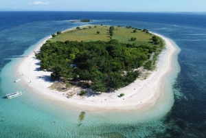 Labuan Bajo: 4-dagars Komodo simma med medan Sharke och Komodo