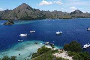 Labuan Bajo: Nuoto di Komodo di 4 giorni con gli squali e Komodo