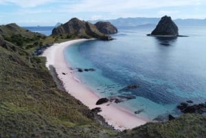 Labuan Bajo: 4 dias de natação em Komodo com tubarão e Komodo