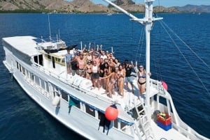 Labuan Bajo: 4-Tage-Komodo-Schwimmen mit Hai und Komodo