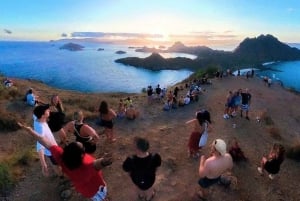 Labuan Bajo: 4-Tage-Komodo-Schwimmen mit Hai und Komodo