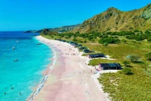 Labuan Bajo: 4-Tage-Komodo-Schwimmen mit Hai und Komodo