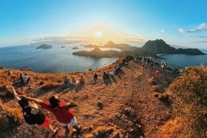 Labuan Bajo: 4-dagars Komodo simma med medan Sharke och Komodo