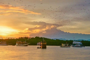 Labuan Bajo: Sunset Panorama, National Park