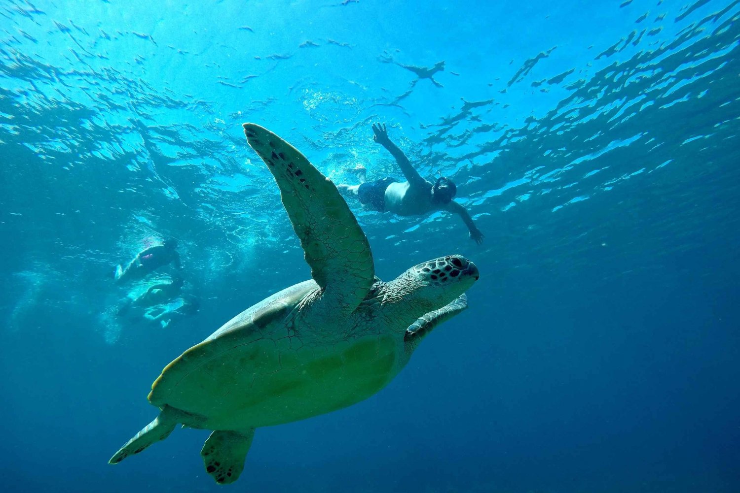 Avreise fra Lombok, privat snorkletur og GOPRO-fotografering