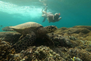 Partenza da Lombok, gita privata di snorkeling e riprese GOPRO