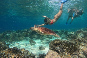 Vertrek vanuit Lombok, privé snorkeltrip en GOPRO-opname