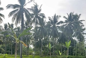 Bo som en lokal: 4 nätter i en autentisk by på Lombok