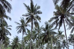 Bo som en lokal: 4 nätter i en autentisk by på Lombok