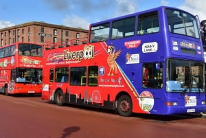 Liverpool: City and Beatles Open Top Bus Tour